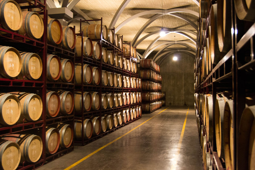 QUEDADA JUMILLA-019